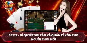 Catte - Bí Quyết Soi Cầu Và Quản Lý Vốn Cho Người Chơi Mới